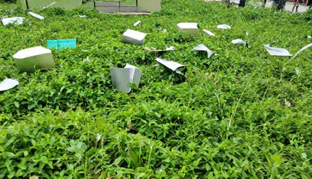 系统优化的适用场景与限制分析